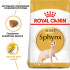 Сухий корм для дорослих котів ROYAL CANIN SPHYNX ADULT 2 кг